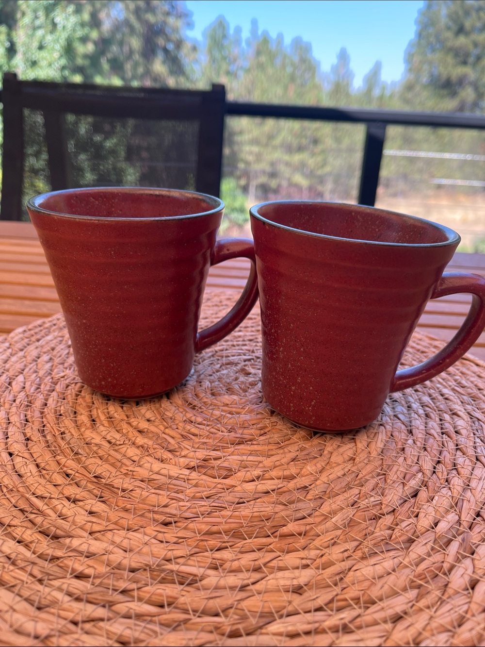 Sango Comet Sienna Ceramic Stoneware Mugs - Pair